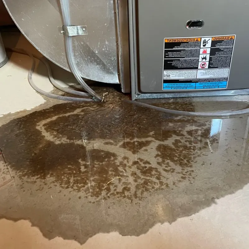 Pipe Burst and Leak Restoration in Highlands-Baywood Park, CA